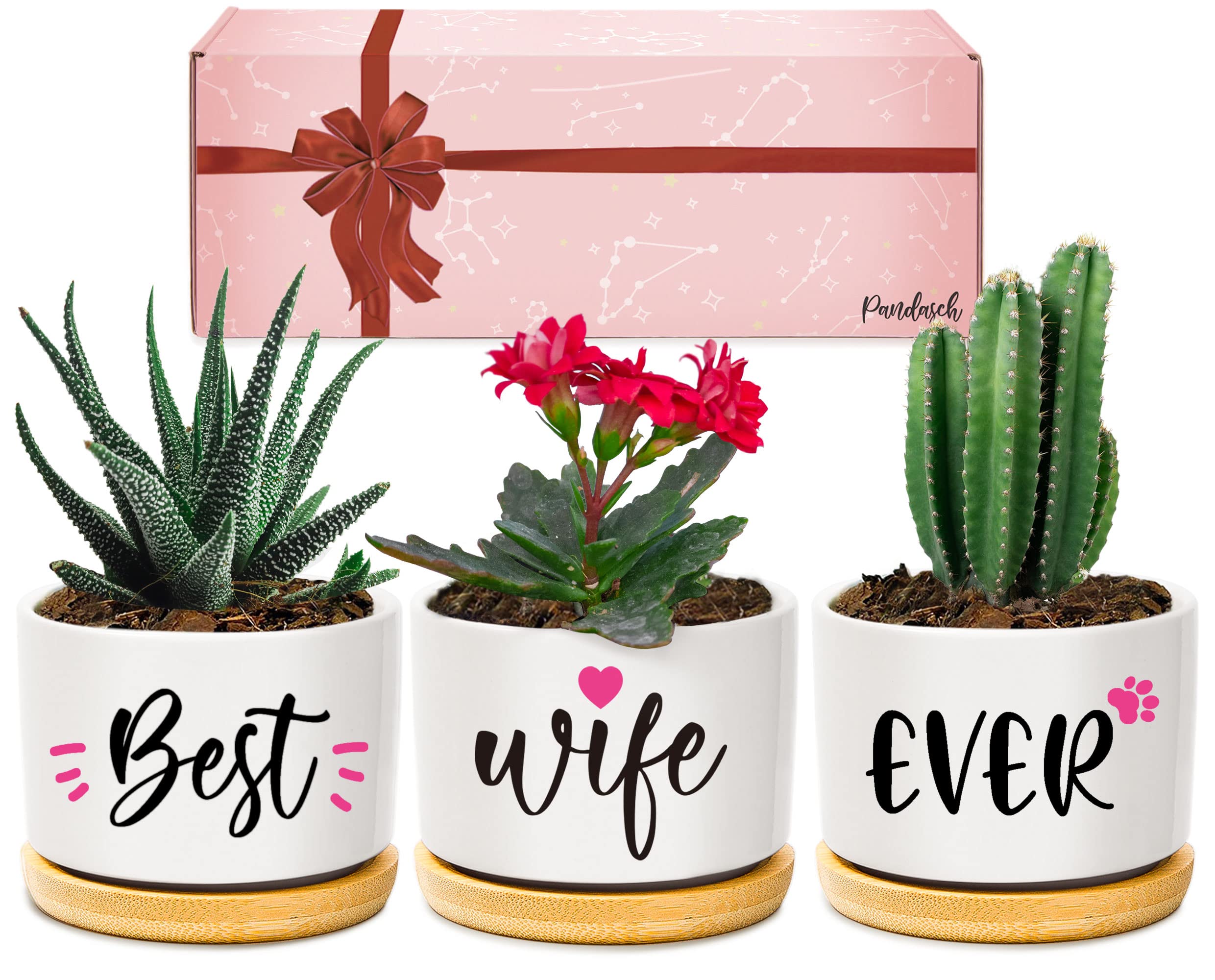 Pandasch Gifts for Wife from Husband, Anniversary Birthday Gifts for Her, Best Wife Ever Succulent Pots, Romantic Present for Wife, Arrive Beautifully Gift Boxed