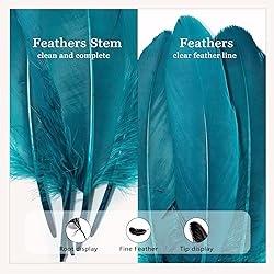 FeelfunFeather 120pcs Peacock Blue Goose Feathers