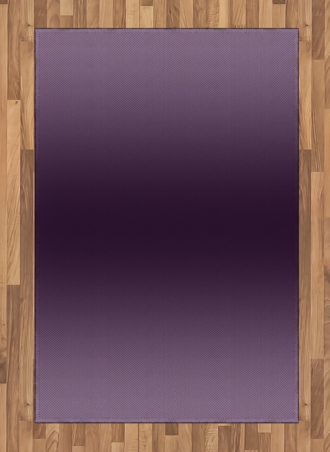 Amazon Com Ambesonne Ombre Area Rug Hollywood Glam Show Inspired Color Ombre Design Abstract Representation Digital Image Flat Woven Accent Rug For Living Room Bedroom Dining Room 4 X 5 7 Purple Kitchen
