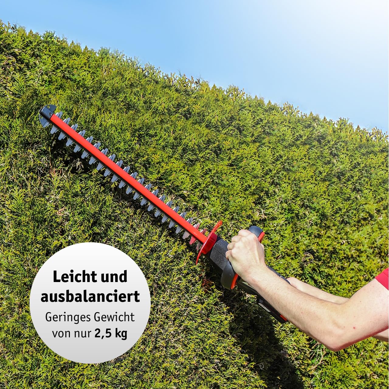 WALTER Li-Ion Akku-Heckenschere 20V, 45cm Schnittlänge, inkl. Zusatzhandgriff für Komfortables Arbeiten, schneidet präzise und ordentlich, scharfes Metall Messer, für längere Gartenarbeit geeignet 9