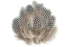 FEATUMAN 50 Pcs White Pheasant Plumage Feathers, 2-4 Inch Colored Spotted Feathers for Crafts, Natural Pheasant Feathers Hat Feathers for Floral Arrangements, Clothes Jewelry Making, Cat Toy