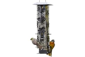 Perky-Pet 336-1SR Squirrel-Be-Gone Bird Feeder, 2LB Squirrel Proof Outdoor Wild Bird Feeder with Weight-Activated Perches