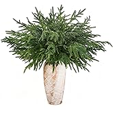 AMORISE 12 Pcs Norfolk Pine Stems, 30" Artificial Pine Branches, Realistic Droopy Soft Bendable Pine Picks, Faux Greenery Stem for Vases Cedar Wreath Garland Christmas Tabletop Home Decor, FF09