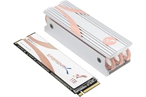 SABRENT 1TB Rocket Q4 NVMe PCIe 4.0 M.2 2280 Internal SSD Maximum Performance Solid State Drive with Heatsink |R/W 4700/1800 MB/s (SB-RKTQ4-HTSS-1TB)