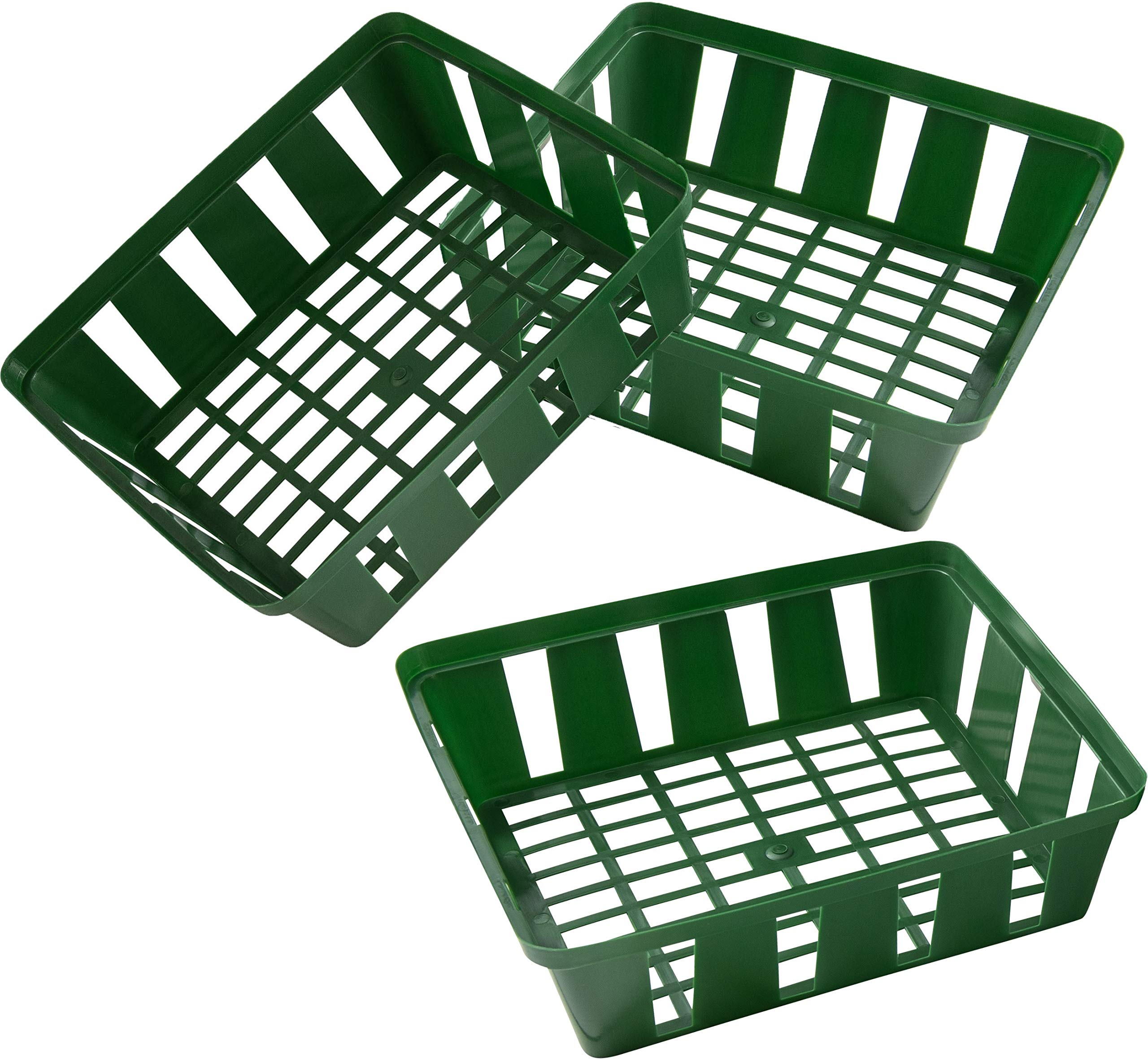 Connex FLOR79160 Flower Bulb planters, Multi-Colour