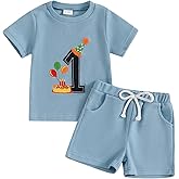 KtwHarnu Toddler Baby Boy 1st 2nd Birthday Outfit Embroidery Waffle Knit Short Sleeve T-Shirt Shorts Set Cake Smash Outfit