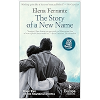 The Story of a New Name (Neapolitan Novels Book 2) book cover