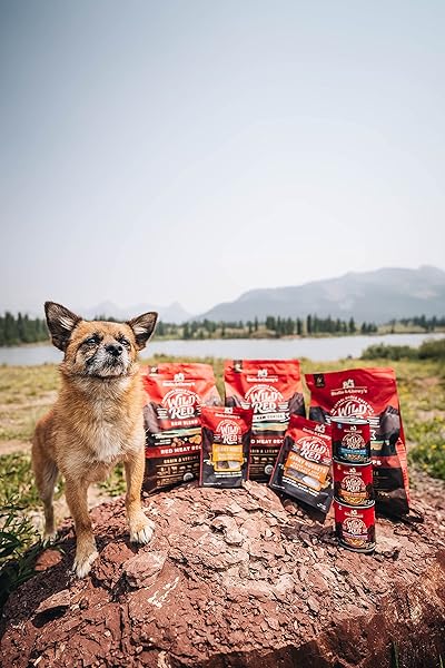 STELLA & CHEWY’S WILD RED DRY DOG FOOD RAW BLEND HIGH PROTEIN GRAIN & LEGUME FREE RED MEAT RECIPE, 3.5 LB. BAG