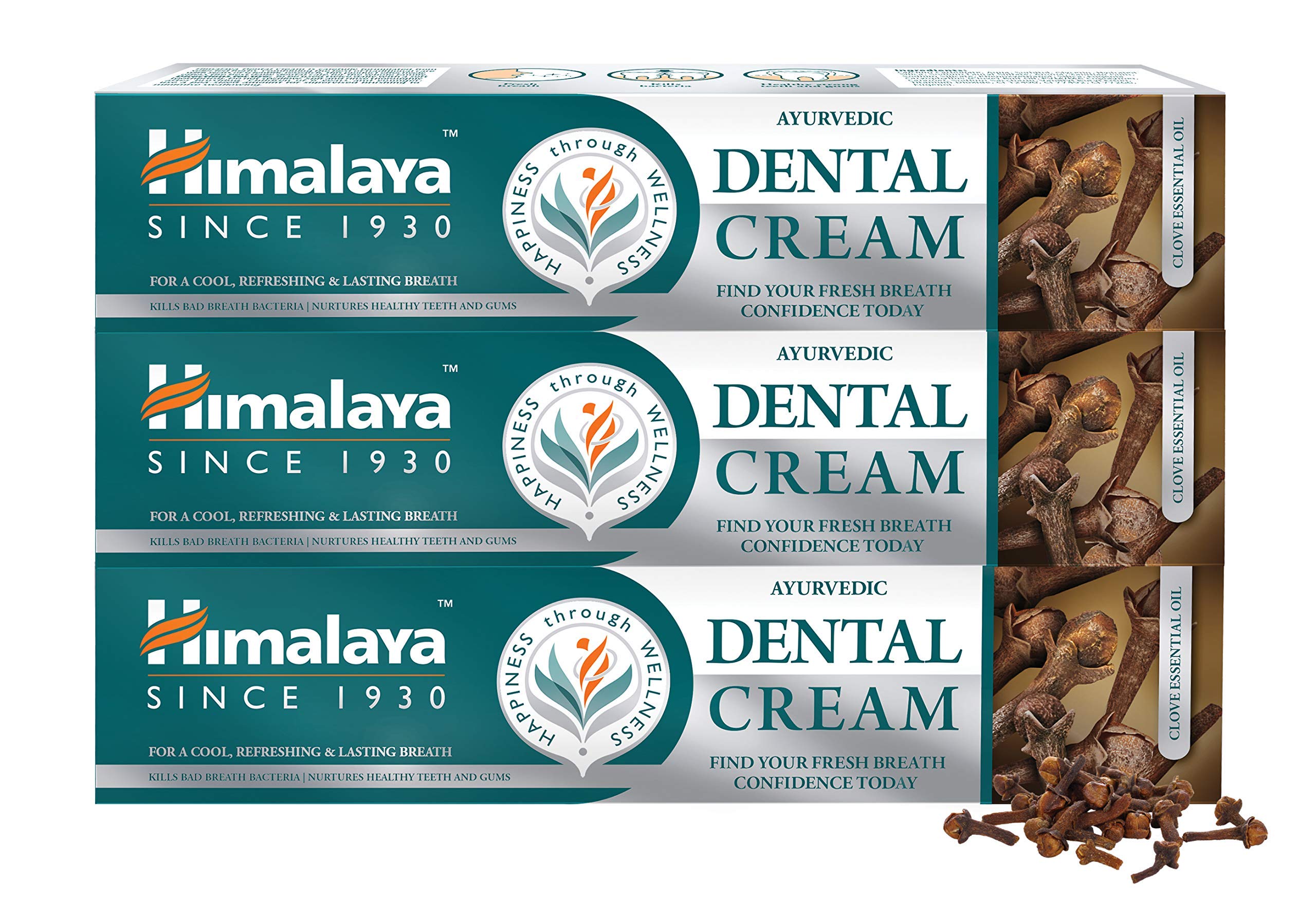 Himalaya Ayurvedic Dental Cream with Essential Clove Oil |Prevents Cavities and Bad Breath| Formulated by Dental Experts - 100g(Pack of 3)