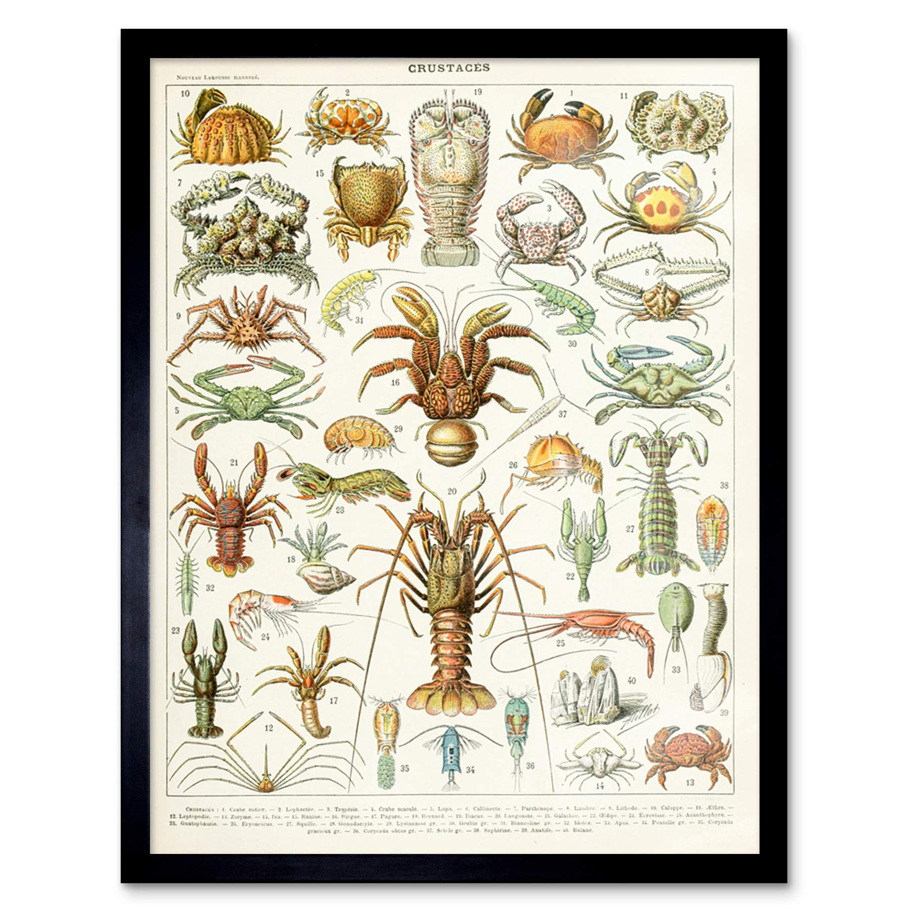 Artery8 Millot Encyclopedia Page Crustaceans Lobster Art Print Framed Poster Wall Decor 12x16 inch — image 1