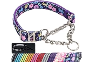 MAOWUWUJOZ Martingale Dog Collar with Steel Chain, Adjustable Reflective Nylon & Soft Padded - for Medium, Large, XL, XXL Dogs for Training,Walking Pet Collar (Purple Flowers L)