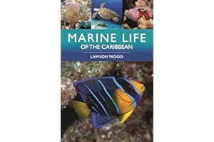 Marine Life of the Caribbean