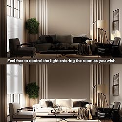 Boolegon Top Down Bottom Up Light Filtering