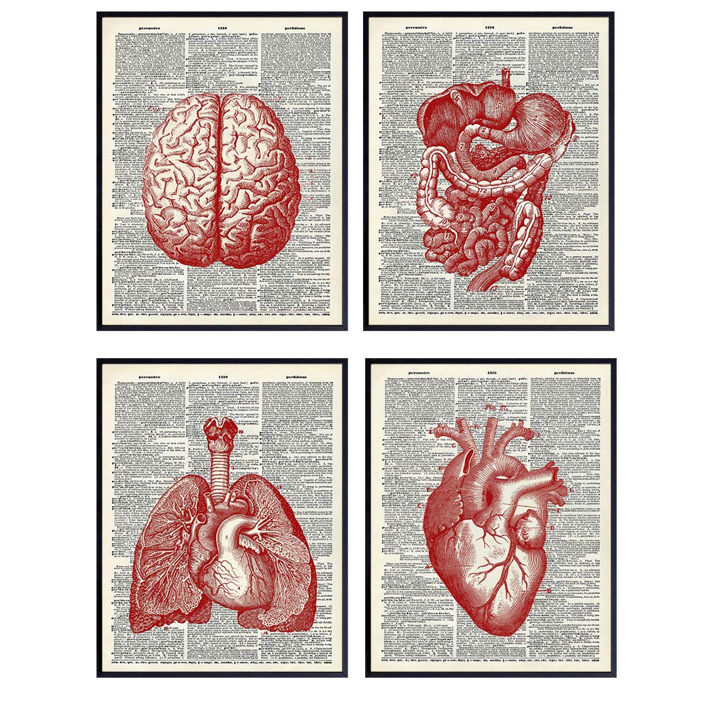 Anatomy Organs - Heart, Lungs, Brain, Intestine - Upcycled Dictionary Wall Decor Art Prints for Doctor Medical Clinic, Office - 8x10 Vintage Steampunk Goth Set - Gift for Nurse, Med School, Student
