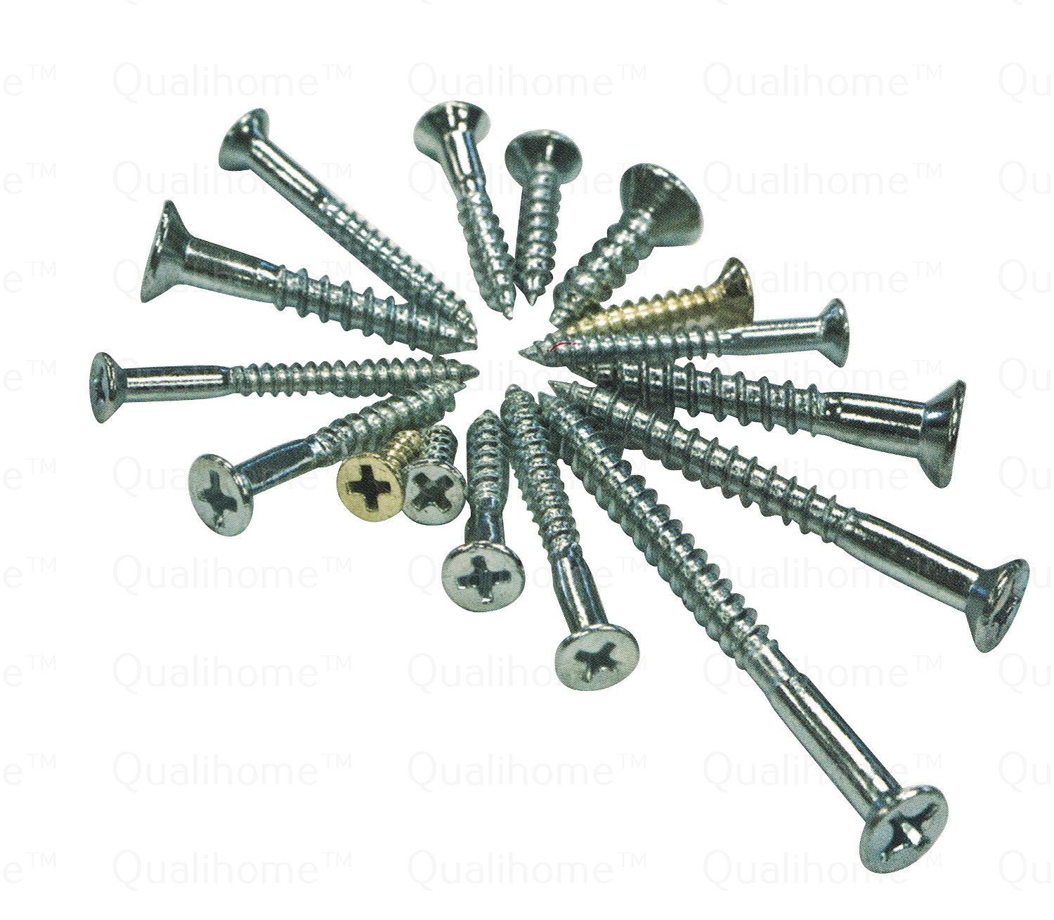 1 Best Quality Wood Screw Assortment Kit, 240 Pieces 692623589323 eBay