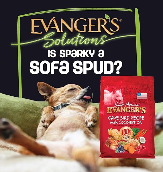 EVANGER’S SUPER GAMEBIRD RECIPE WITH COCONUT OIL DRY DOG FOOD – 4.4 LB BAG – HYPOALLERGENIC DUCK & TURKEY FORMULA – GRAIN-FREE, SUPPORTS DIGESTIVE & COAT HEALTH