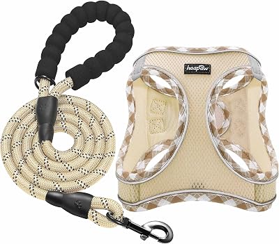 haapaw Dog Harness and Lead Set No Pull Reflective Adjustable Step-in Small
