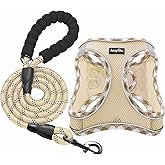 haapaw Dog Harness with Leash Set, No Pull Adjustable Reflective Step-in Puppy Harness with Thickened Padded Vest for Extra-Small/Small Medium Dogs