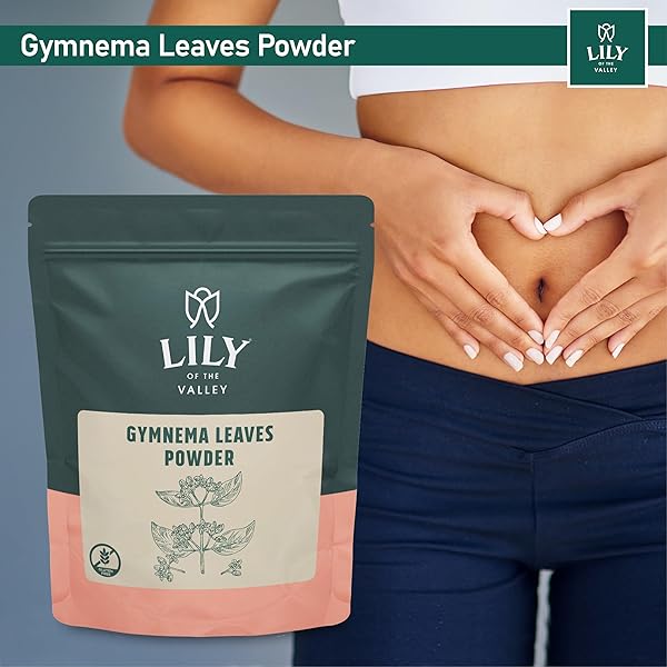 LILY OF THE VALLEY GYMNEMA SYLVESTRE LEAF POWDER – HERBAL GURMAR POWDER – VEGAN & GLUTEN – FREE – PACKED IN RESEALABLE POUCH (16OZ, 453G)