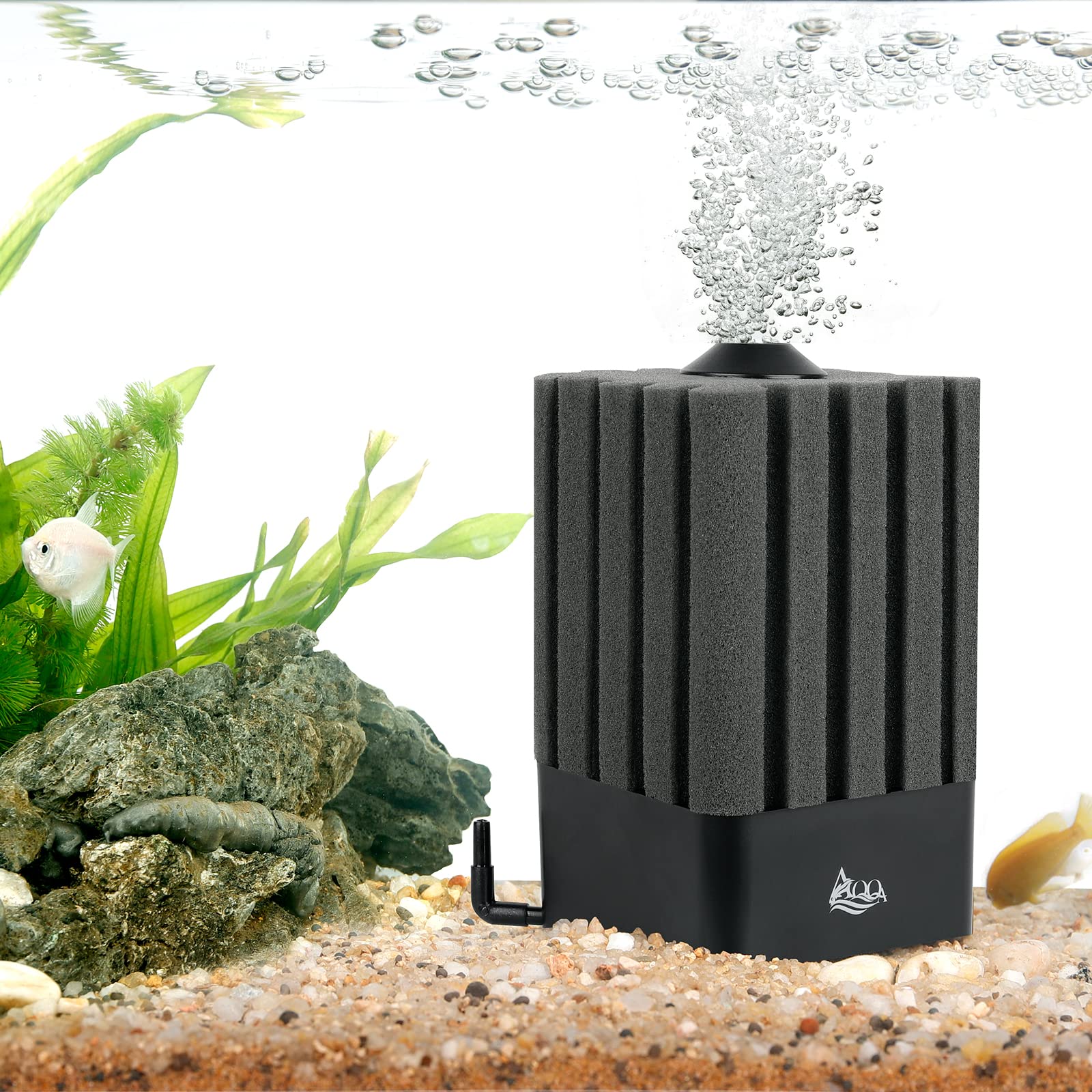 Photo 1 of AQQA Aquarium Sponge Filter Submersible Fish Tank Filter Ultra Quiet Aeration Bio Sponge Corner Filter for Breeding Fry Betta Shrimp Fish Tank (Small for 5-20 Gallon)