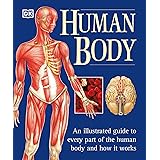 Human Body: An Illustrated Guide to Every Part of the Human Body and How It Works