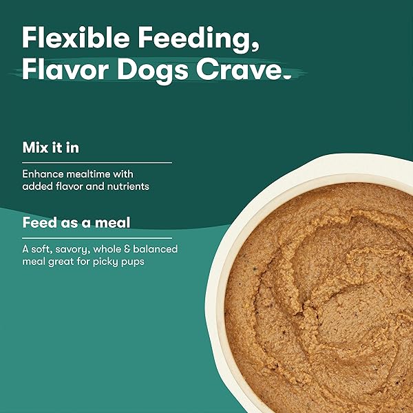 JINX PREMIUM WET DOG FOOD CANS – BEEF PATE – GRAIN-FREE CANNED DOG FOOD PATE & TOPPER WITH REAL INGREDIENTS & NO FILLERS – ALL LIFE STAGES, BREEDS & SIZES – 12-PACK, 13 OZ