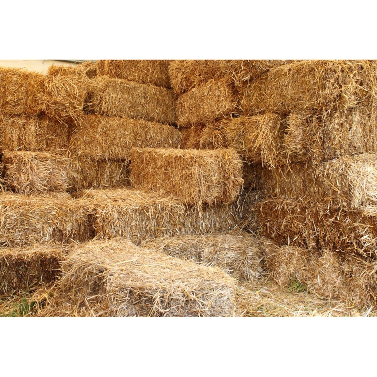 YongFoto 3x2m Vinyl Photography Backdrop Countryside Livestock Dry Rice Texture Straw Hay Bales Cubes Backdrops for Photo Shoots Party Adult Personal Portrait Photo Background Studio Props — image 1