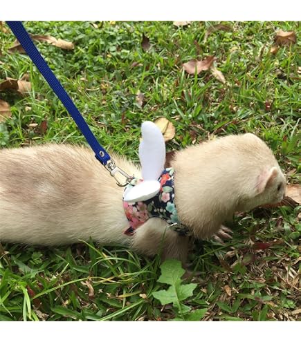 Adjustable Small Pet Harness Leash With Wings & Bell - For Hamsters, Guinea Pigs, Rabbits, And Reptiles