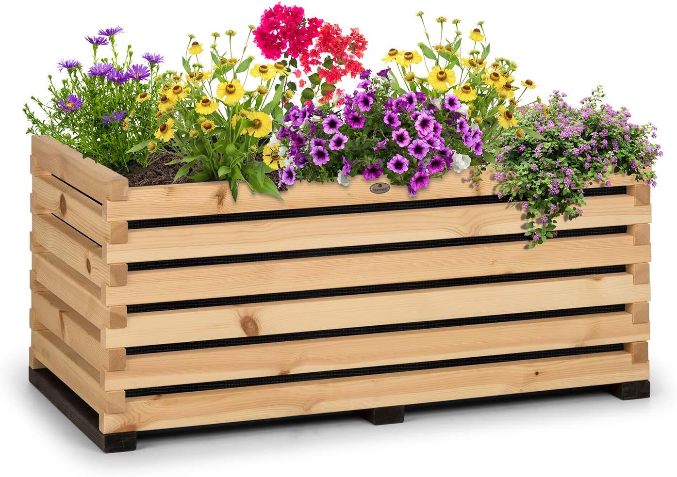 grigliata in cortile abrand