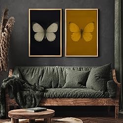 MUDECOR Framed Canvas Print Wall Art Set Butterfly