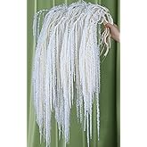 20Pcs Preserved Hanging Amaranthus Flowers - Ivory White 23"-27" Extra Full Cascading Dried Florals for Wedding Decor, Arch Installations, Vase Filler, Home Styling