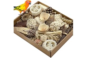 LOPERDEVE Natural Bird Toy Foraging Parrot Shredding Toys Box Conure Chewing Toys for Cockatiel Lovebird Parakeet Budgie Small-Medium Birds (Nature Color)