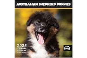 MICASA PRESS MICASA Australian Shepherd Puppies 2025 Wall Calendar 12 Month | 12" x 24" Open | Thick & Sturdy Paper | Giftable Dog Calendar 2025 | Puppy Calendar 2025