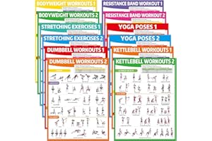gisgfim 12PCS Workout Posters for Home Gym Dumbbells, Bodyweight, Stretching, Resistance Bands, Yoga, Kettlebells Exercise Chart Full Body Workout Poster Set Muscle Engagement Chart Garage Gym Decor