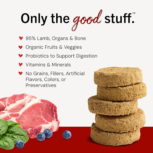 STELLA & CHEWY’S FREEZE-DRIED RAW DINNER PATTIES – DANDY LAMB RECIPE – HIGH PROTEIN GRAIN-FREE PUPPY & DOG FOOD – PERFECT FOR PICKY EATERS – 25 OZ