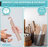 Triplast A2 Postal Tubes with End Caps 2 Pack Cardboard Mailer 460mm x 50mm view 7