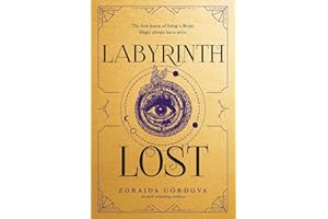 Labyrinth Lost