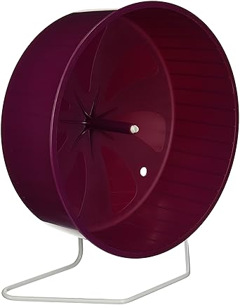 Amazon Com Kaytee Comfort Wheel Giant 12 Inches Rat Exercise