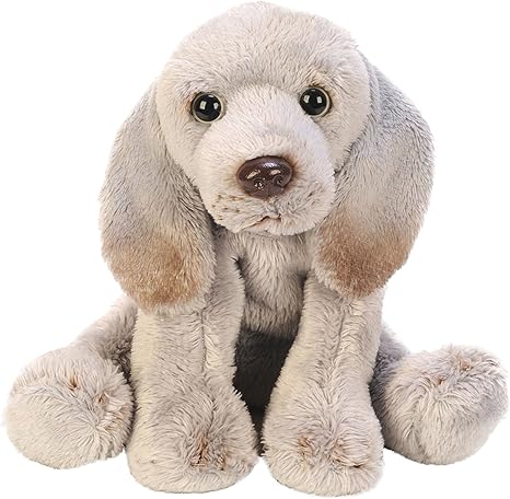 weimaraner peluche