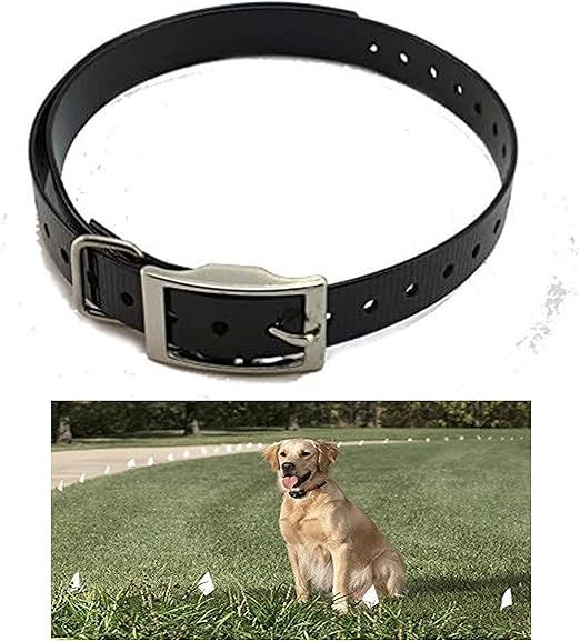 sportdog replacement collar amazon