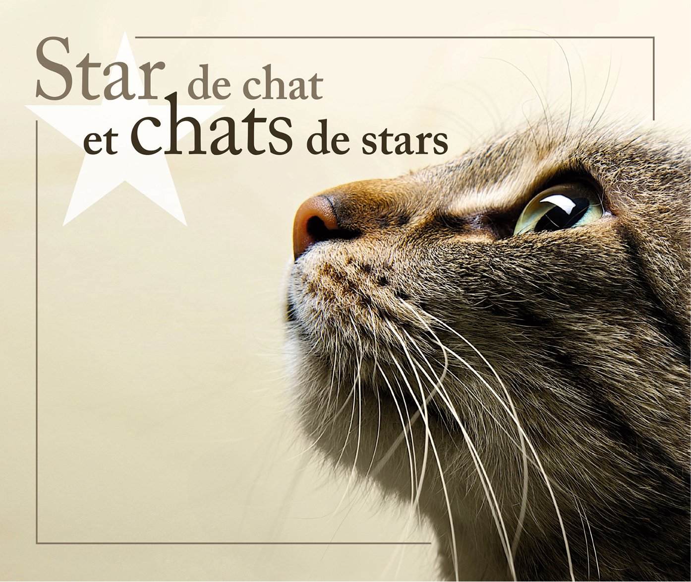 Star De Chat Et Chats De Stars Amazon Com Books