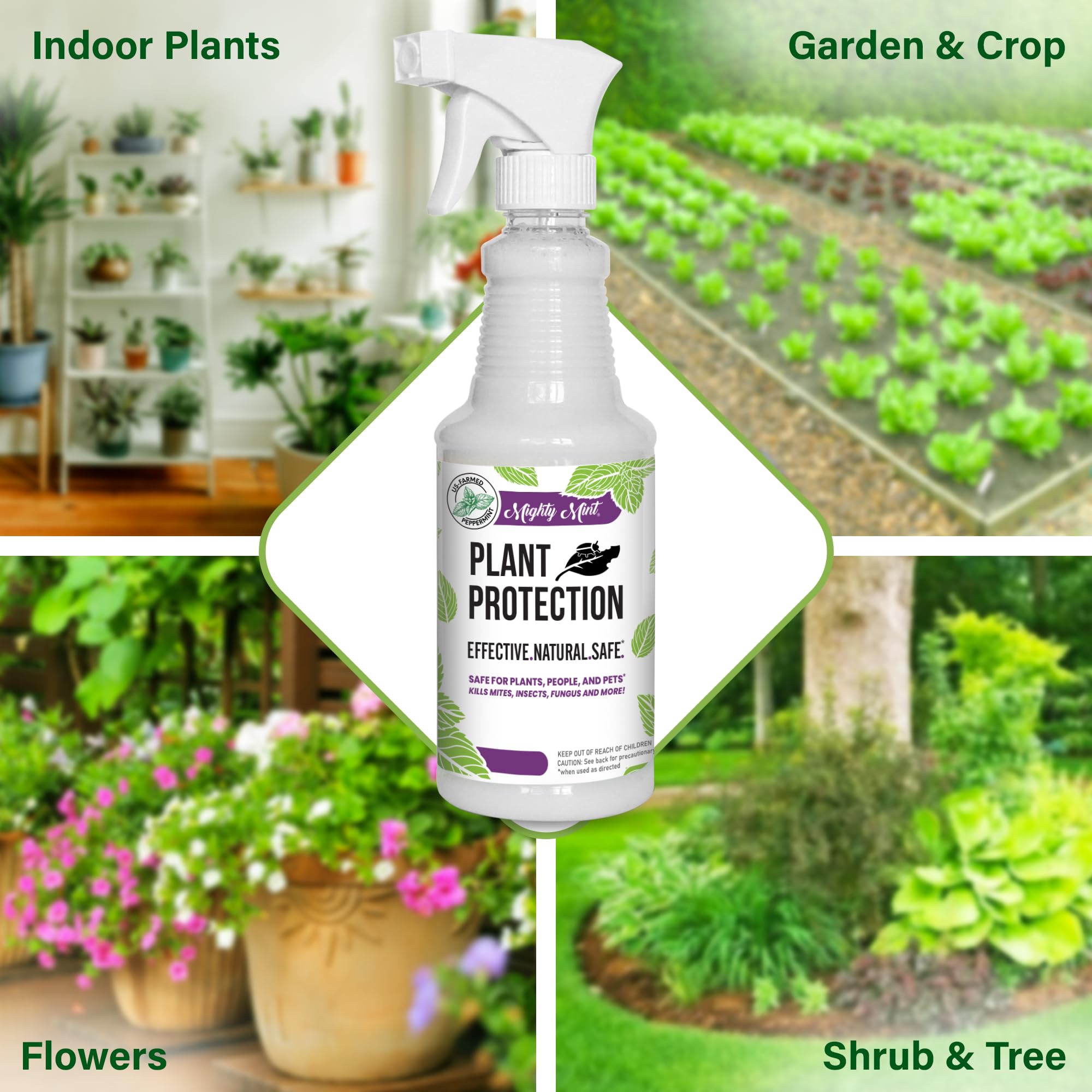 Mighty Mint 32 oz Peppermint Plant Protection Spray Kit for Spider