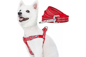 Blueberry Pet Essentials Reflective Back to Basics Matching Dog Harness and Leash Set, Rouge Red, Adjustable Harness with 5 ft Leash for Small Dogs