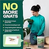 Bloom & Bud Fungus Gnat Killer 1 Litre Indoor Plant Protector Gravel Topper view 2