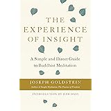 The Experience of Insight: A Simple and Direct Guide to Buddhist Meditation