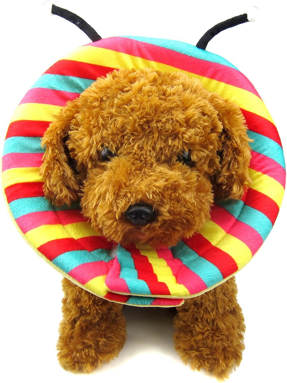 Alfie Pet - Zaire Recovery Collar (for Dogs and Cats)
