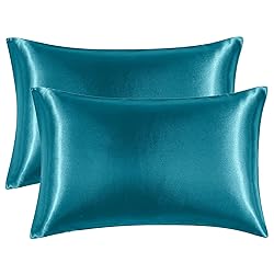 EHEYCIGA Satin King Pillow Cases Set of 2, Soft