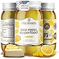 TrueSeaMoss Wildcrafted Irish Sea Moss Gel - Made with Dried Seaweed & Fresh Sea Vegetables, Seamoss - Made in USA (Lemon Pie, Pack of 1)