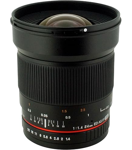 Amazon.com : Canon EF 24mm f/1.4L II USM Wide Angle Lens - Fixed