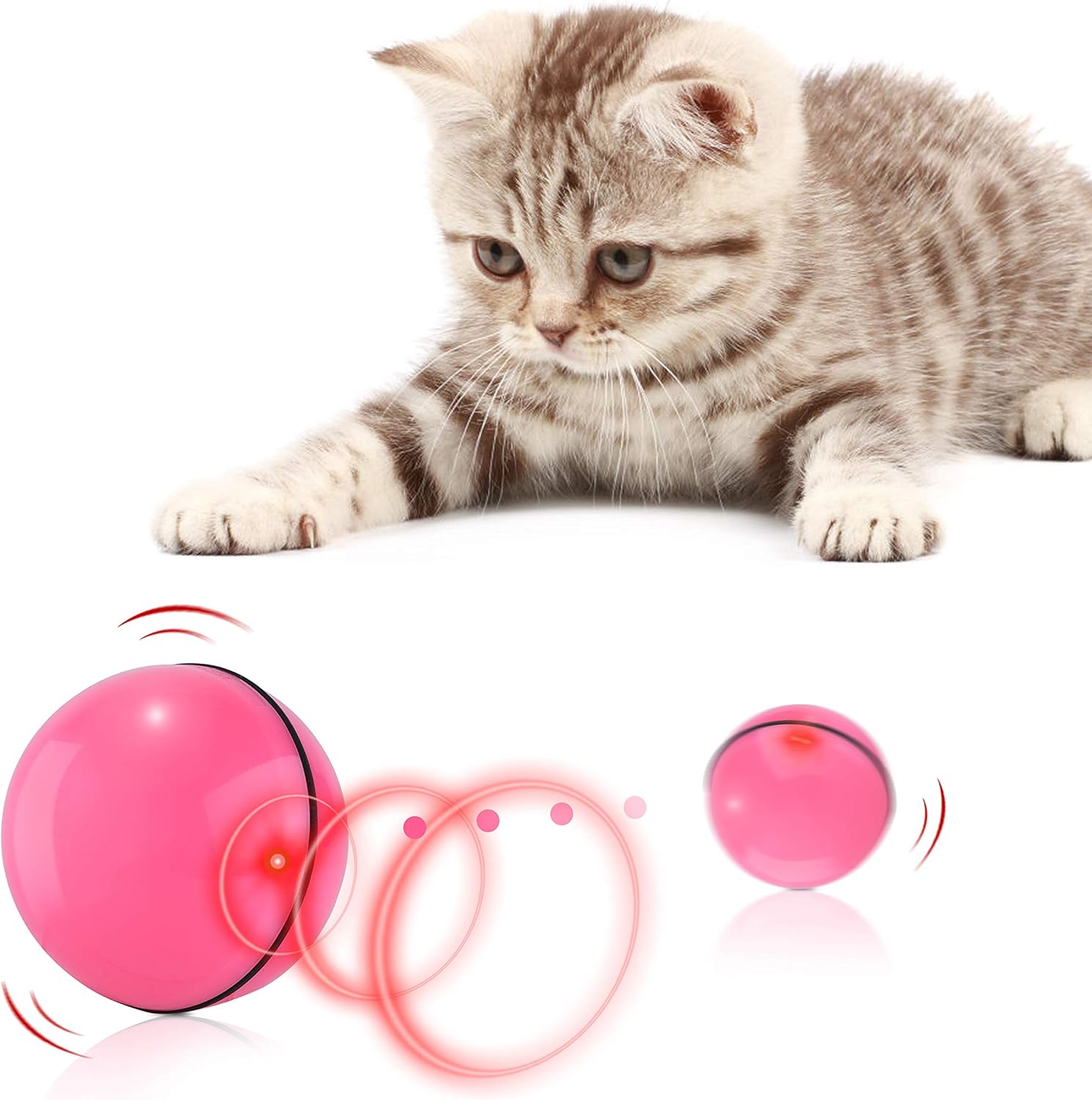mouse hunt cat toy amazon